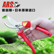 Japan imported ars Alice pruning shears 120EU horticultural scissors tools flower and tree scissors rough branches garden fruit shears