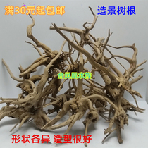 Natural landscaping wood Rhododendron root sinking wood Decorative fish tank landscaping habitat root Rhododendron root full aquatic plant reptile wood