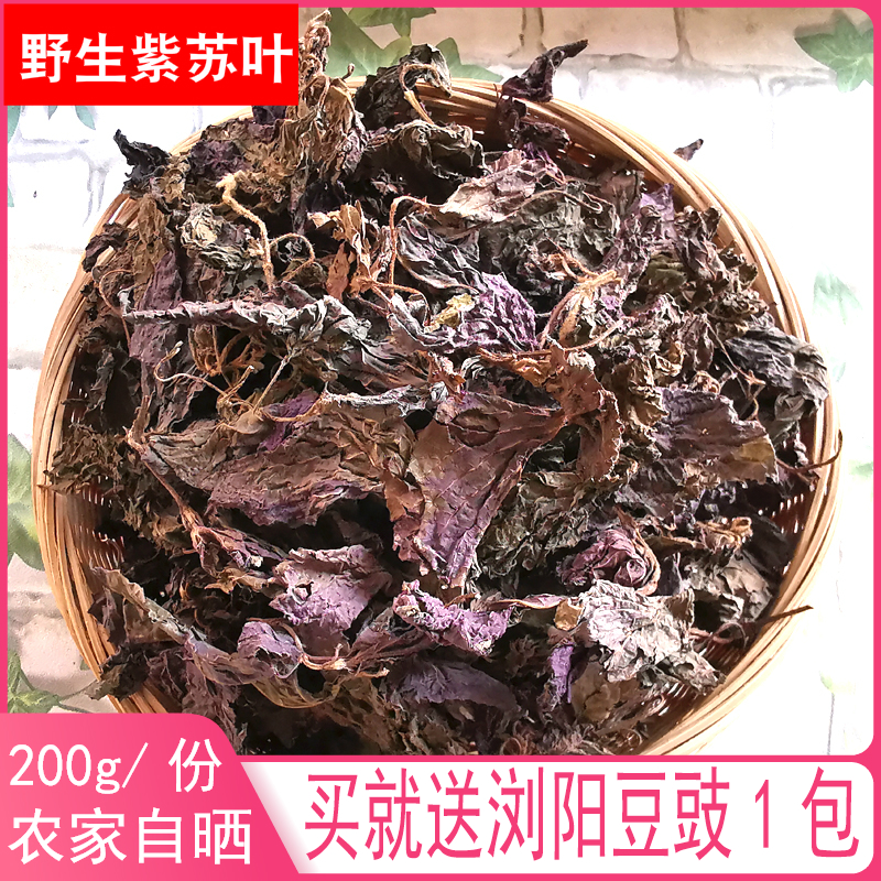 Wild perilla leaves dried natural Su cotyledons dried tea stir-fried fish shrimp soup Hairy crab fishy cold food Chinese herbal medicine