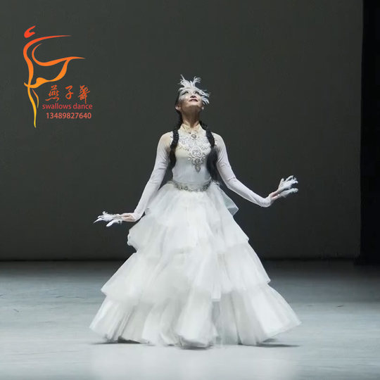 Neue kasachische Wang Yidan Swan Performance-Kostüme und Kunsttests der Beijing Dance Academy Kostüme und Kostüme