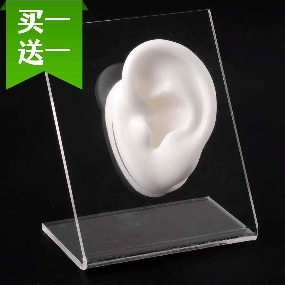 偽の耳飾り、柔らかいシリコンシミュレーションの人間の耳の耳のモデルのイヤリング、イヤホン、医療教育用ディスプレイ小道具