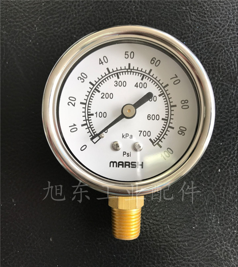 Marsh Pressure Gauges Stainless Steel 2.5 