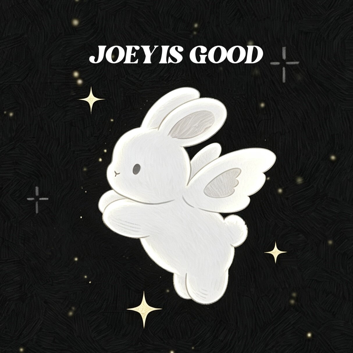 JOEY IS GOOD的LOGO
