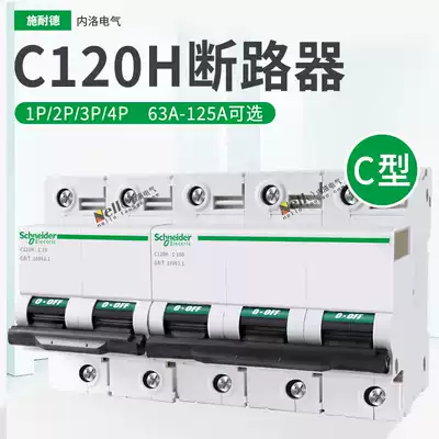 Schneider Air Switch C120H Circuit breaker Type C 1P2P3P4P protection 63A 80A 100A Main gate 125A