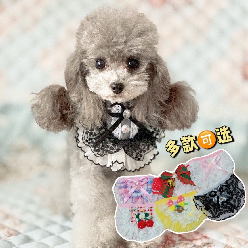 Sticky Rice Home Pooch Pet Lace Spat Towel Fake neckline Bag Cute Pure Cotton Teddy Bib Bear Accessories