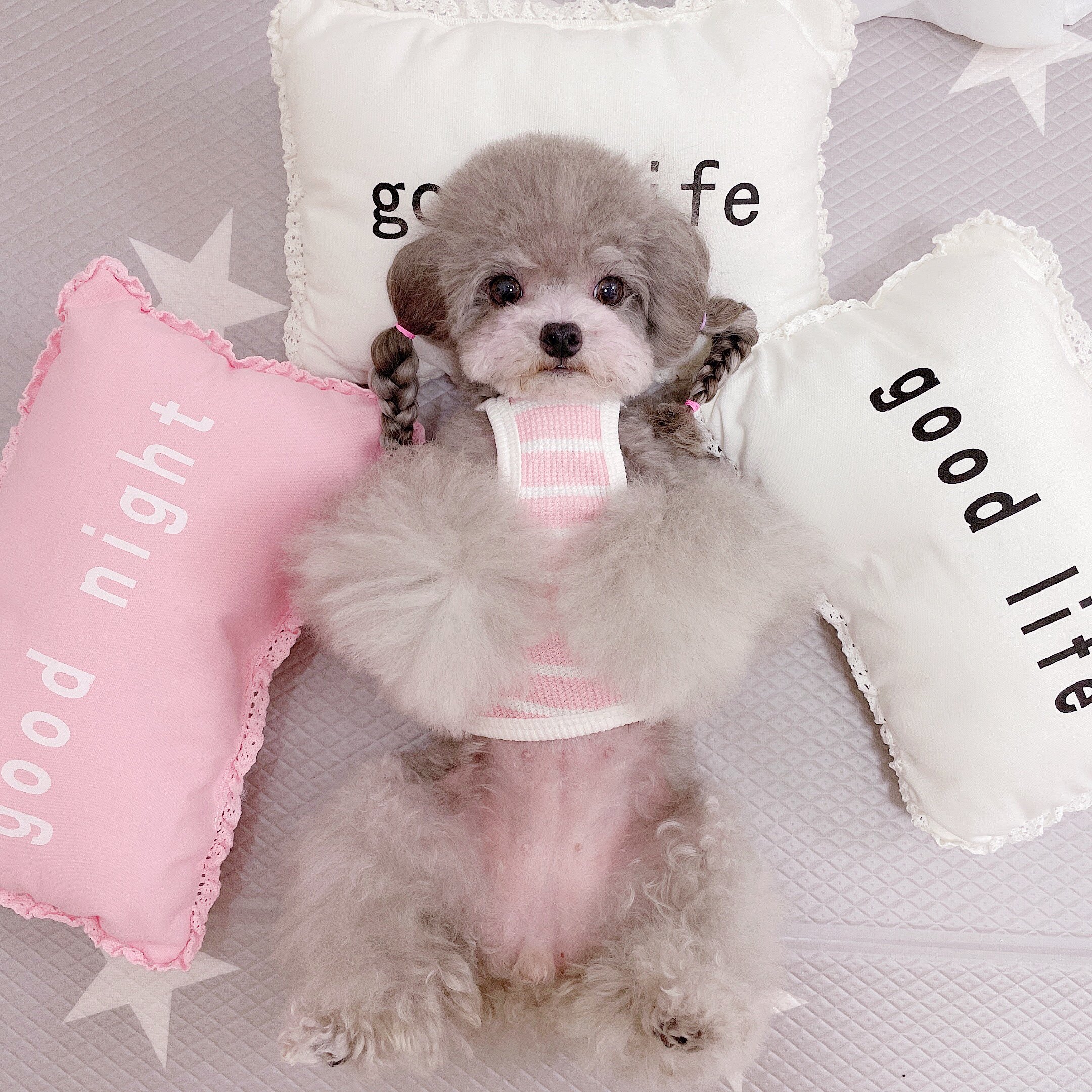 Sticky Rice Home Handmade Pet Pillow Mini Dog Pooch Teddy Bibi Panda Mian Sleeping with pillow fights for sleeping supplies