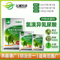 Nongaido 50% Chlorobromocyanuric acid fungus bacteria Frost mildew soft rot virus disease efficient pesticide fungicide 20g