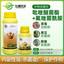 BASF Jiandafomethacin fungicide powdery mildew gray mold 100ml