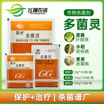 Guoguang carbendazim plant flower household fungicide rose black spot disease polymeaty bituminous coal black rot anther