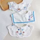Голубоволочный медведь [Pure Cotton 3 Pack]