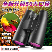 Eski Catcher ED Binoculars HD Large Aperture Waterproof Professional Outdoor Hunting Bee Bird Watching Artifact