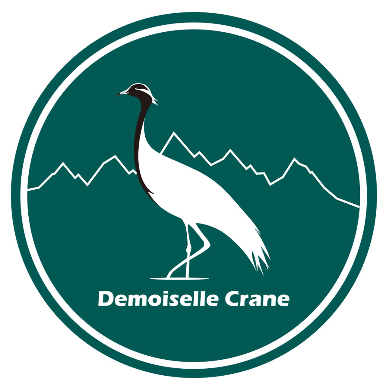 闺秀鹤DemoiselleCrane