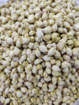 Hot Zhen Cai Xiang raw seeds-handmade beads (private shots do not send) to ship within 60 days