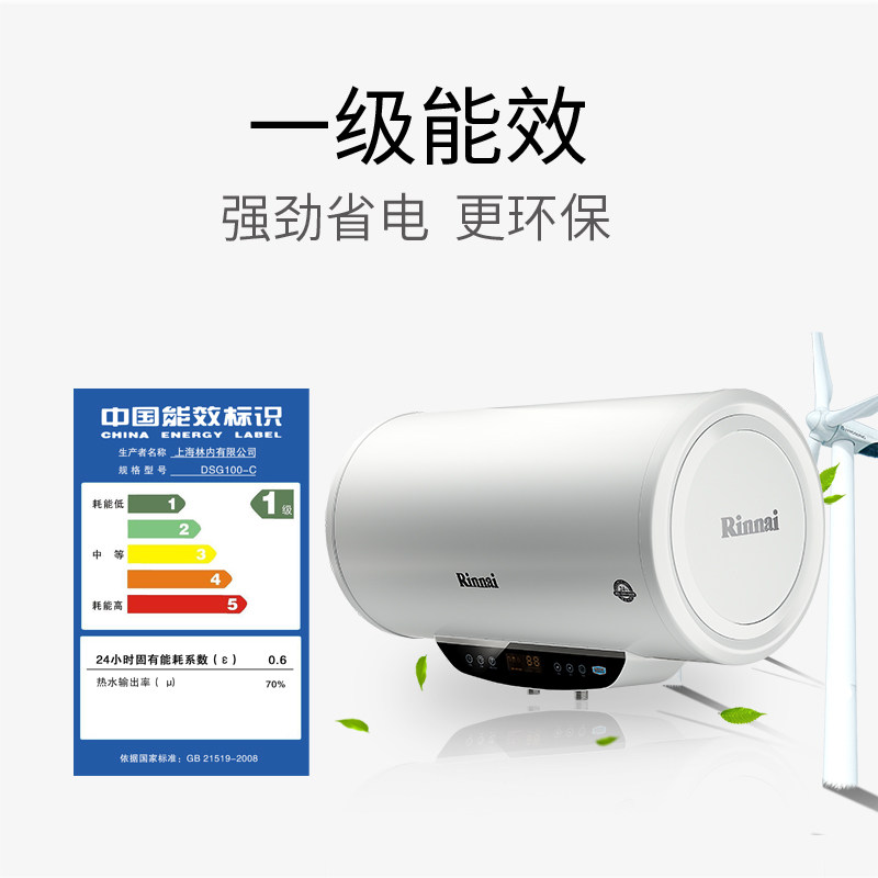 rinnai/���ڴ�ˮʽ����ˮ��dsgc