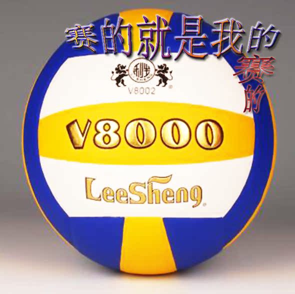 Ballon de volley - Ref 2011104 Image 20