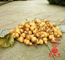 Natural small gourd American small gourd currency hand twist gourd play Wenwen gold gourd with faucet
