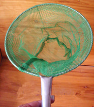 Diameter 27cm fishing ground fishing sub-Nets dou tuck net circle mesh bag (medium)