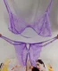 Bộ đồ lót của phụ nữ Sexy Lace nóng bỏng ba điểm hấp dẫn Sex Nhật Bản Lady Bộ đồ lót tình dục