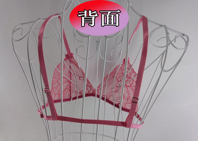 Bộ đồ lót của phụ nữ Sexy Lace nóng bỏng ba điểm hấp dẫn Sex Nhật Bản Lady Bộ đồ lót tình dục áo lót 