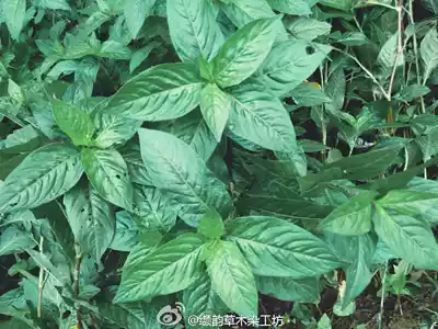 Universal shoot to make up the difference