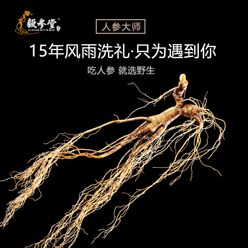 Fresh ginseng wild Mountain Ginseng Origin Direct sales 20 gr Lower ginseng with fresh ginseng Northeast ginseng Ginseng Now Excavated for sale
