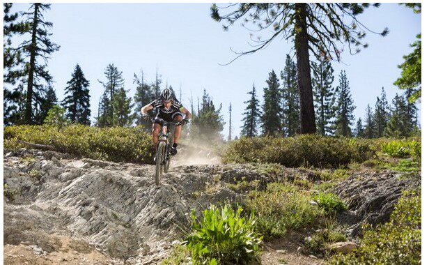 Selle de vélo Mountain Bike - Ref 2352269 Image 3