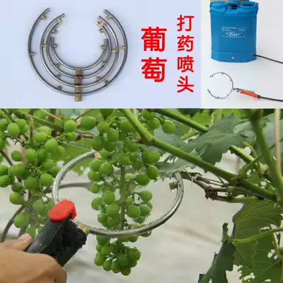 New round open nozzle Grape puffed fruit pull flower artifact Fruit dipping device bagging red puffed nebulizer