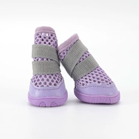 Роланд Пурпур