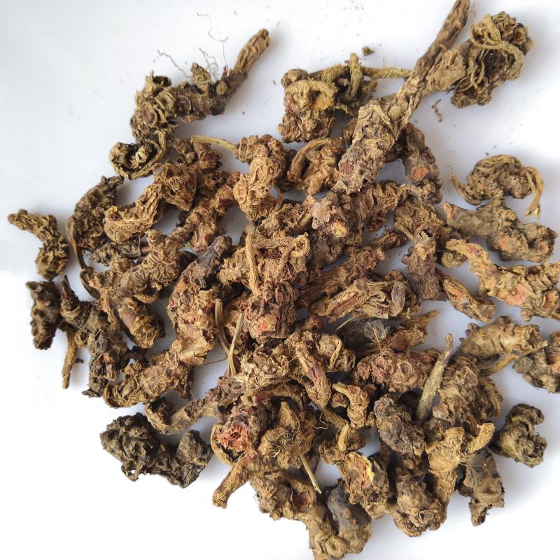 Northeast Changbai Mountain Rhodiola 500 grams 120 yuan Tibet anti-altitude sickness tea and water