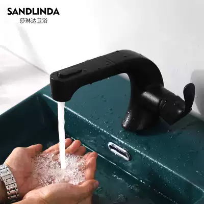 Black pull-out double outlet wash basin faucet Hot and cold powder room personalized wash basin faucet