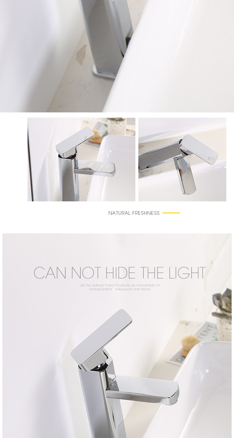 Хромий -ПЛИКА 8804 Ведущий HEAD_10.JPG