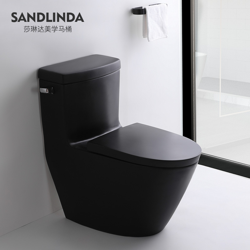 Salinda Nordic matt black creative toilet TOILET BOWL HOME DRESSING ROOM ULTRA-SWIRLING TYPE TOILET BOWL 870