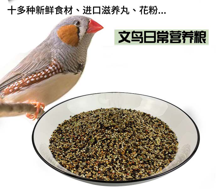 Bird Taste King Seven Colorful White Veneers Hu Jin ten Sisters Pearl Birds Pastor Jinghua Birds Food Grain Feed 700 gr