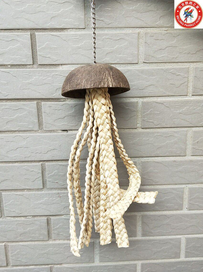 Large small and medium parrot coconut shell nibble with grinding mouth toy straw choreography large jellyfish cage pendant parrot supplies