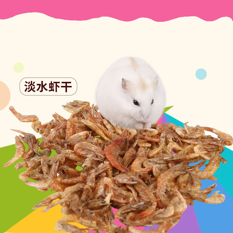 Hamster food snacks dried shrimp nutrition complete hamster loves natural fresh water small shrimp economy 25g