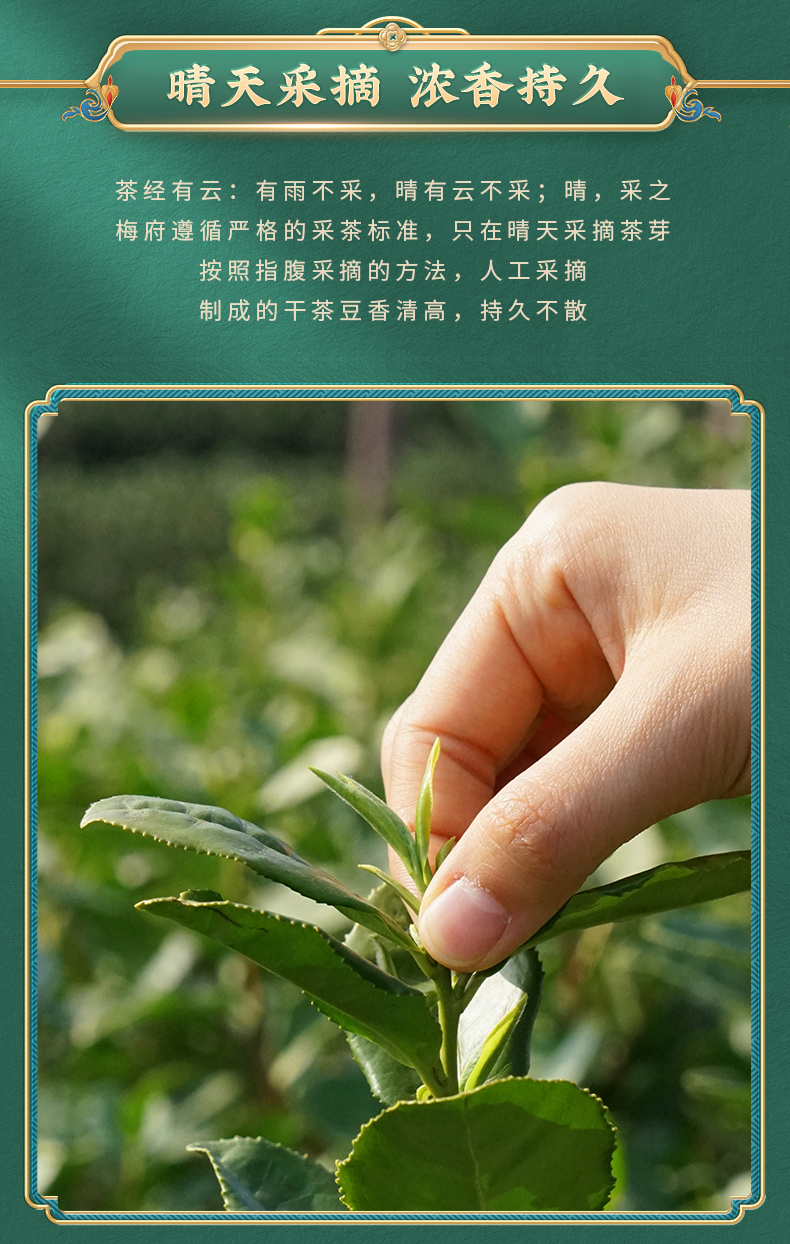 梅府茗家 雨前龙井 250g 钱塘产区 图9