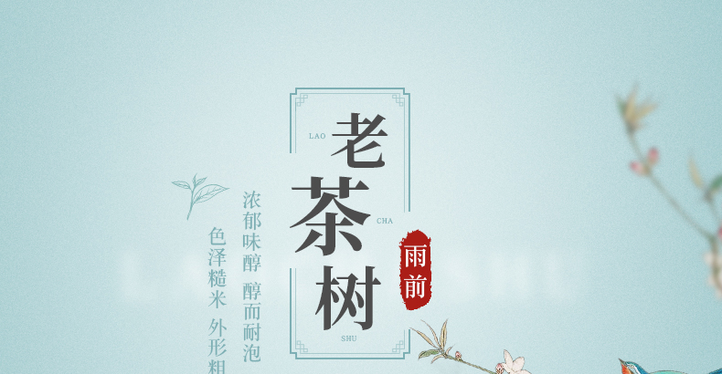 【梅府茗家】雨前二级茶老茶树春茶250g