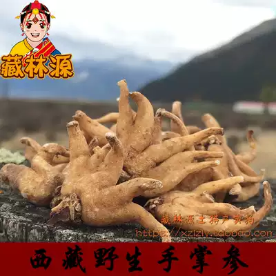 Tibetan Linyuan Tibet Linzhi native wild hand ginseng Buddha Palm bergamot ginseng 50g 3 copies