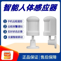 Tuya solution smart home human body sensor warehouse home anti-theft alarm infrared scanning tracking detector