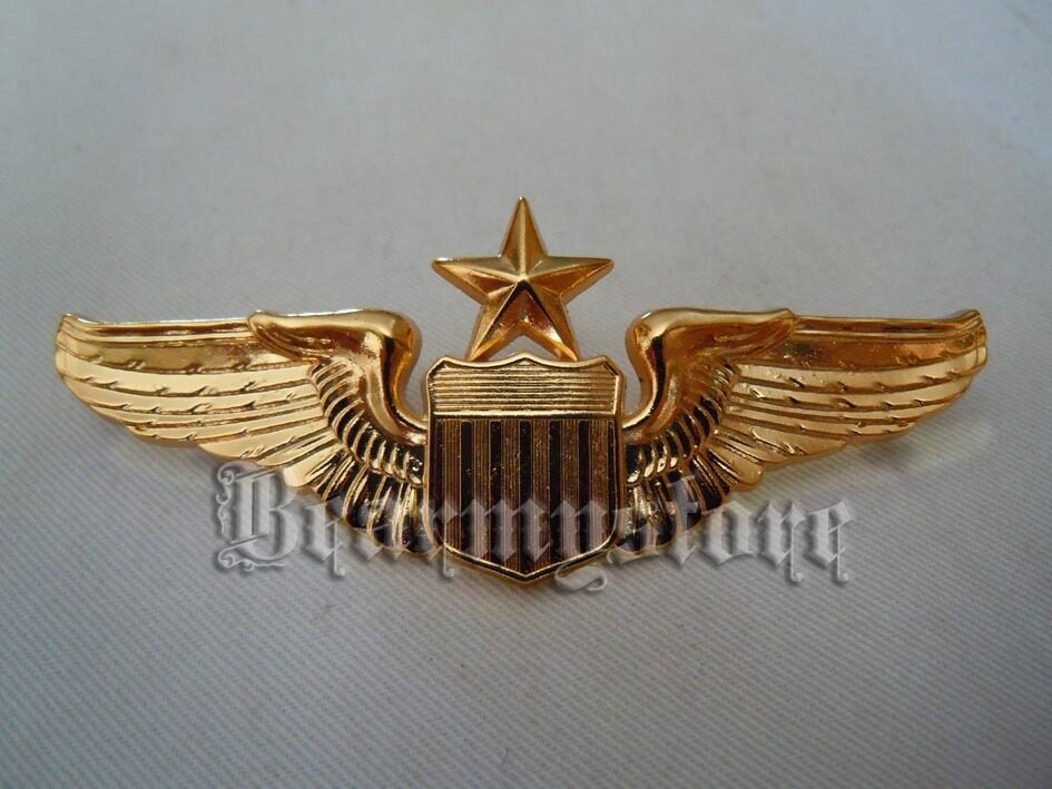 American Air Force pilot mid - class qualification chest badge of ship - carrier aviation officer's chest