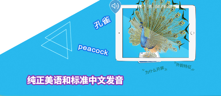 Giáo dục mầm non 3d thẻ thông minh học tập đồ chơi chính hãng AR4D phát âm biết chữ phát âm thẻ nhận thức 2-6 tuổi do choi tre em