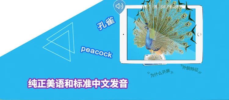 Giáo dục mầm non 3d thẻ thông minh học tập đồ chơi chính hãng AR4D phát âm biết chữ phát âm thẻ nhận thức 2-6 tuổi