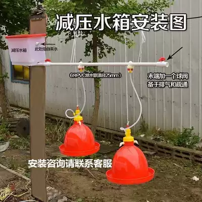 Chicken and ducklings drinking kettle automatic chicks duck and goose drinking water fountains for poultry drinking water feeders