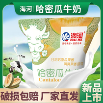 (New Products) Tianjin Sea River Milk Hammemelon Taste 220ml Bagged Milk Flavor Modulated Milk Spot