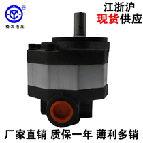 Yuci hydraulic gear pump agricultural machine pump motor CM-FM10 18 25 32 40-FL Series gear type
