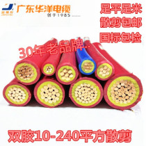 16 GB 10BVV25 pure copper 50 square 35 copper wire 70 double plastic copper core flame retardant wire Hard cable wire