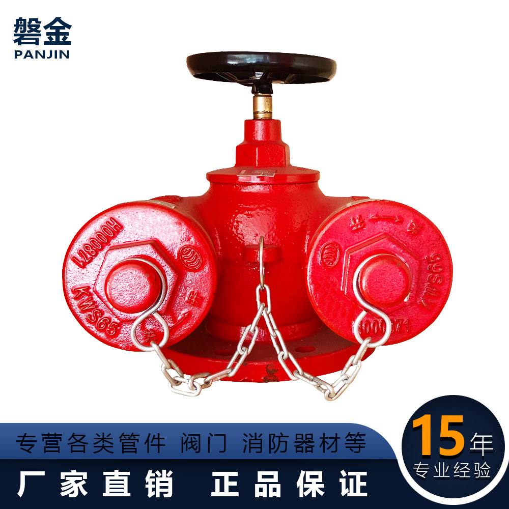 Constant Shield Multifunction Water Pump Joiner DN100 Water Pump Joiner SQD100-1 6 outdoor fire hydrant