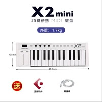 X2mini 