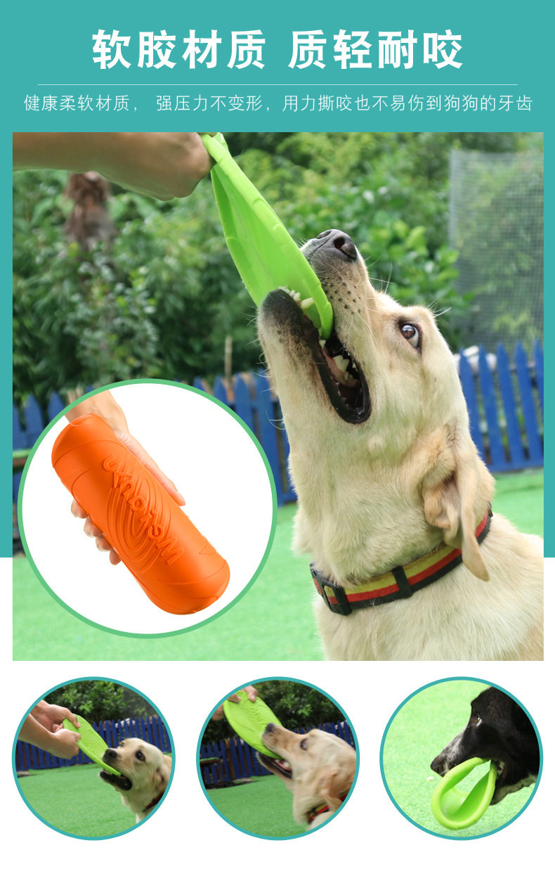 Dog Flying Disk_04.jpg