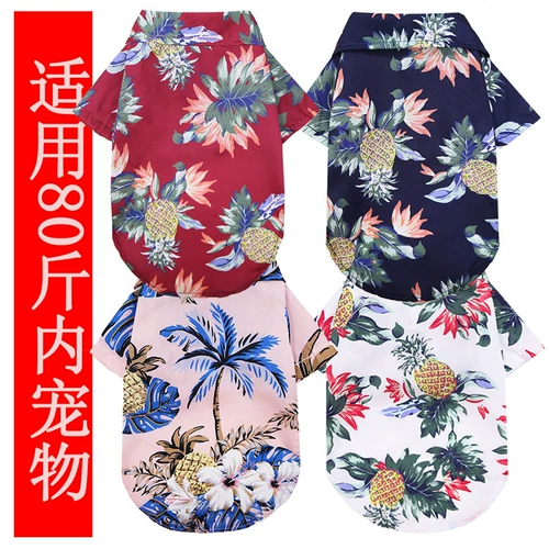 Маленькая средняя собачья пляжная рубашка, гавайская домашняя собака кот кот золотые волосы весна и летние четырех сезонов одежда одежды